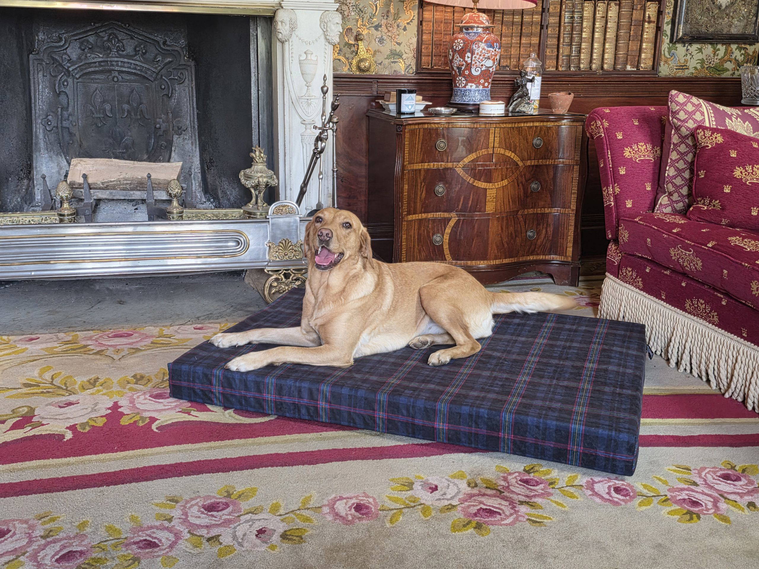 Blue Light Tartan Dog Beds - Image 2