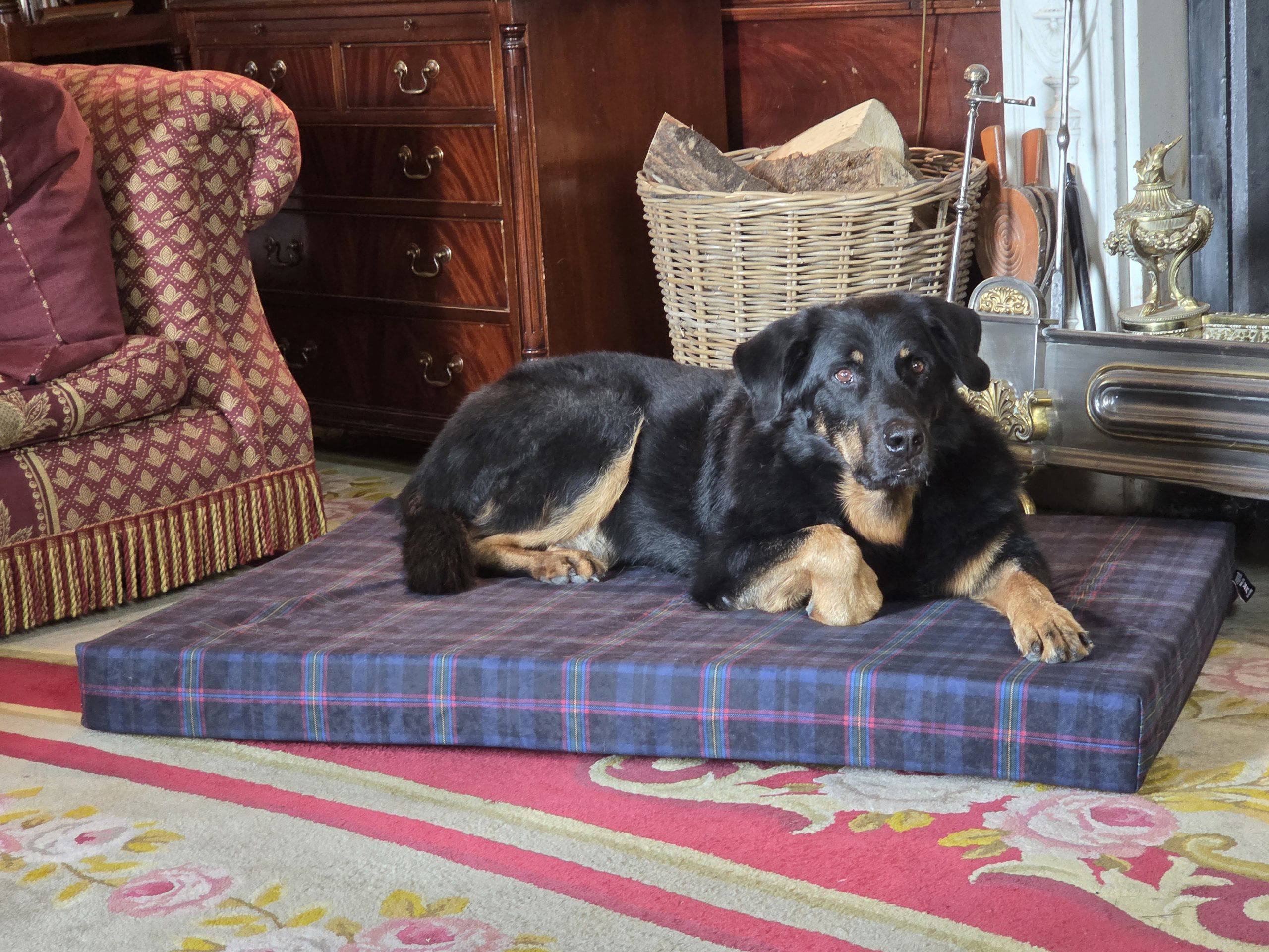 Blue Light Tartan Dog Beds - Image 4