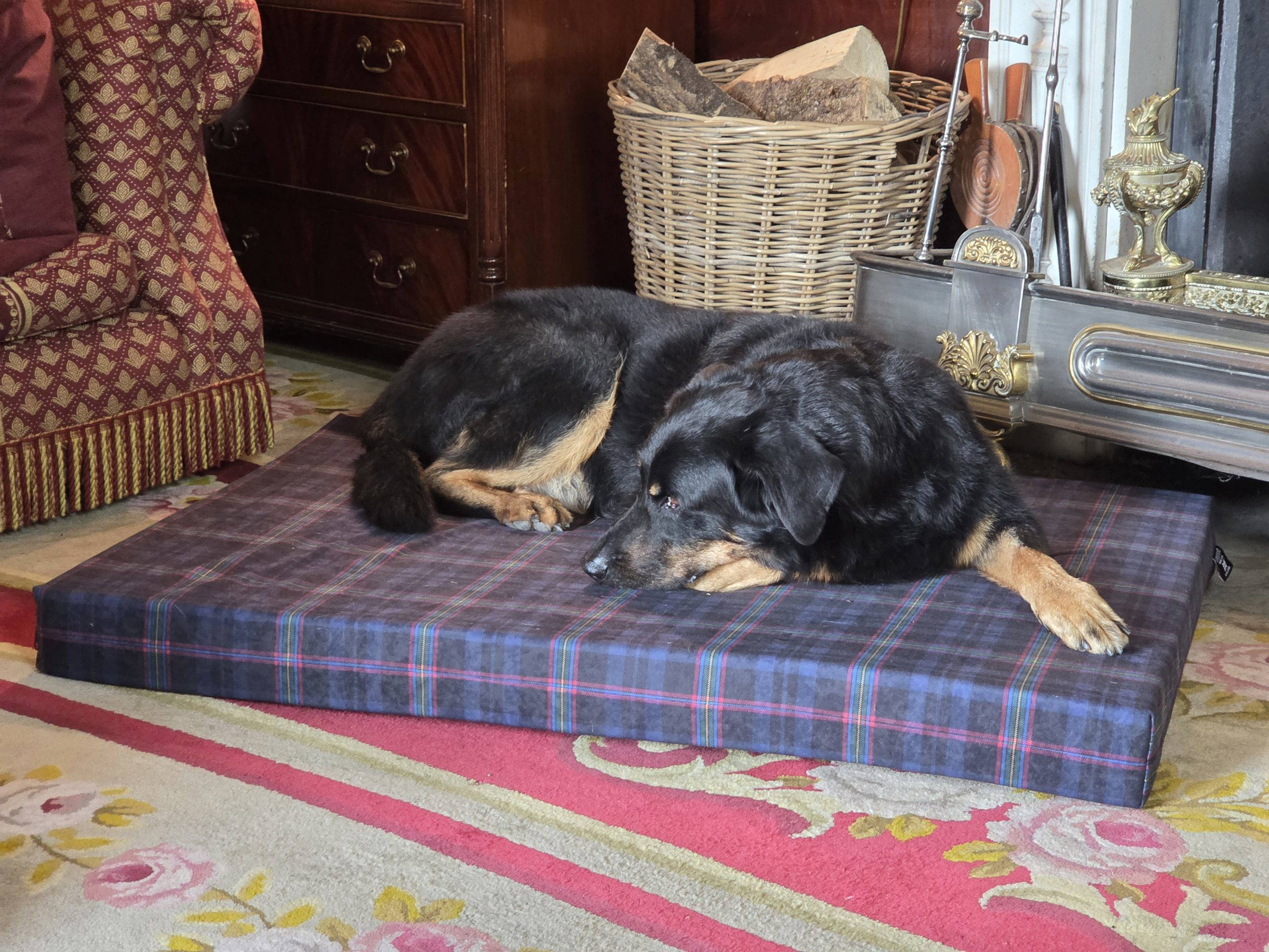 Blue Light Tartan Dog Beds - Image 5