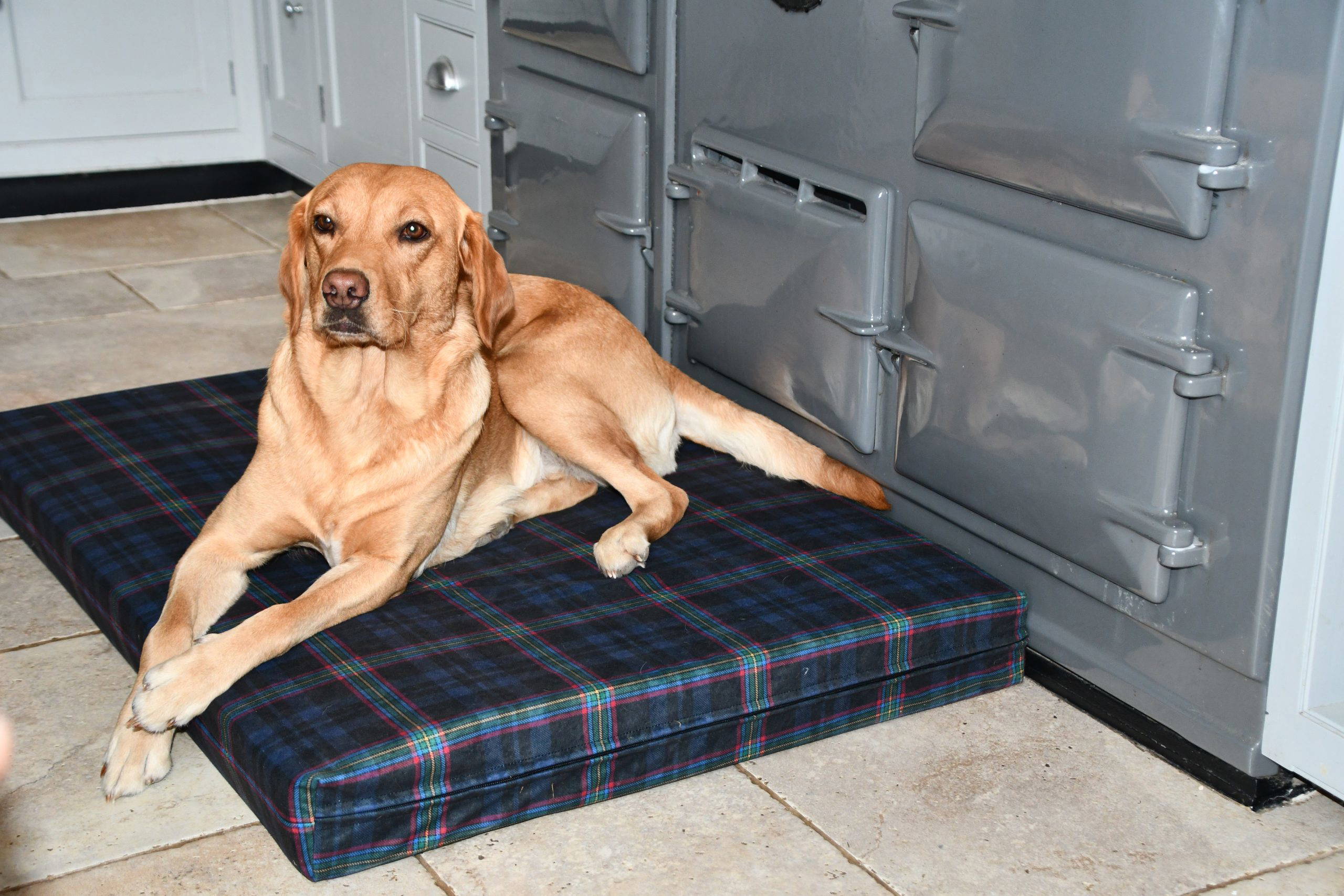 Blue Light Tartan Dog Beds - Image 3